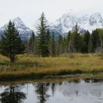 Schwabacher Landing, Grand Teton National Park
