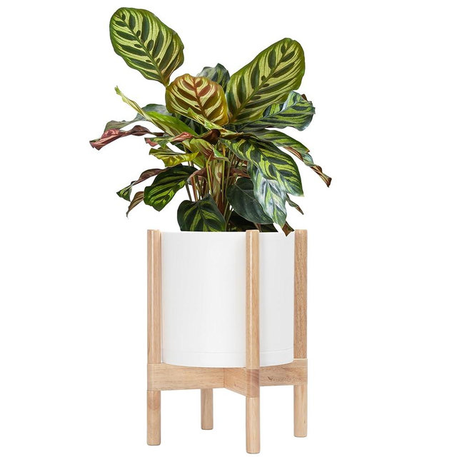 D'vine Dev Planter Pot with Stand - 10 Inch Plastic Cylinder Flower Pot with Wood Planter Holder for Indoor, Matte White Pot + Natural Stand, 55-C-M-1
