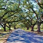 Audubon Park