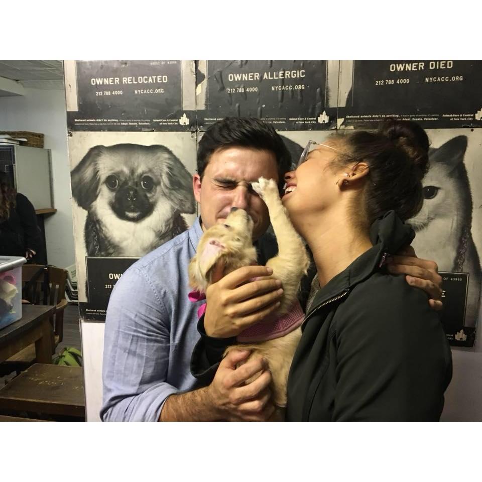 Julia and Eric adopted their puppy/baby, Penny, in October 2017.