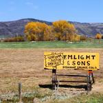 F M Light & Sons