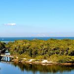 Robinson Nature Preserve