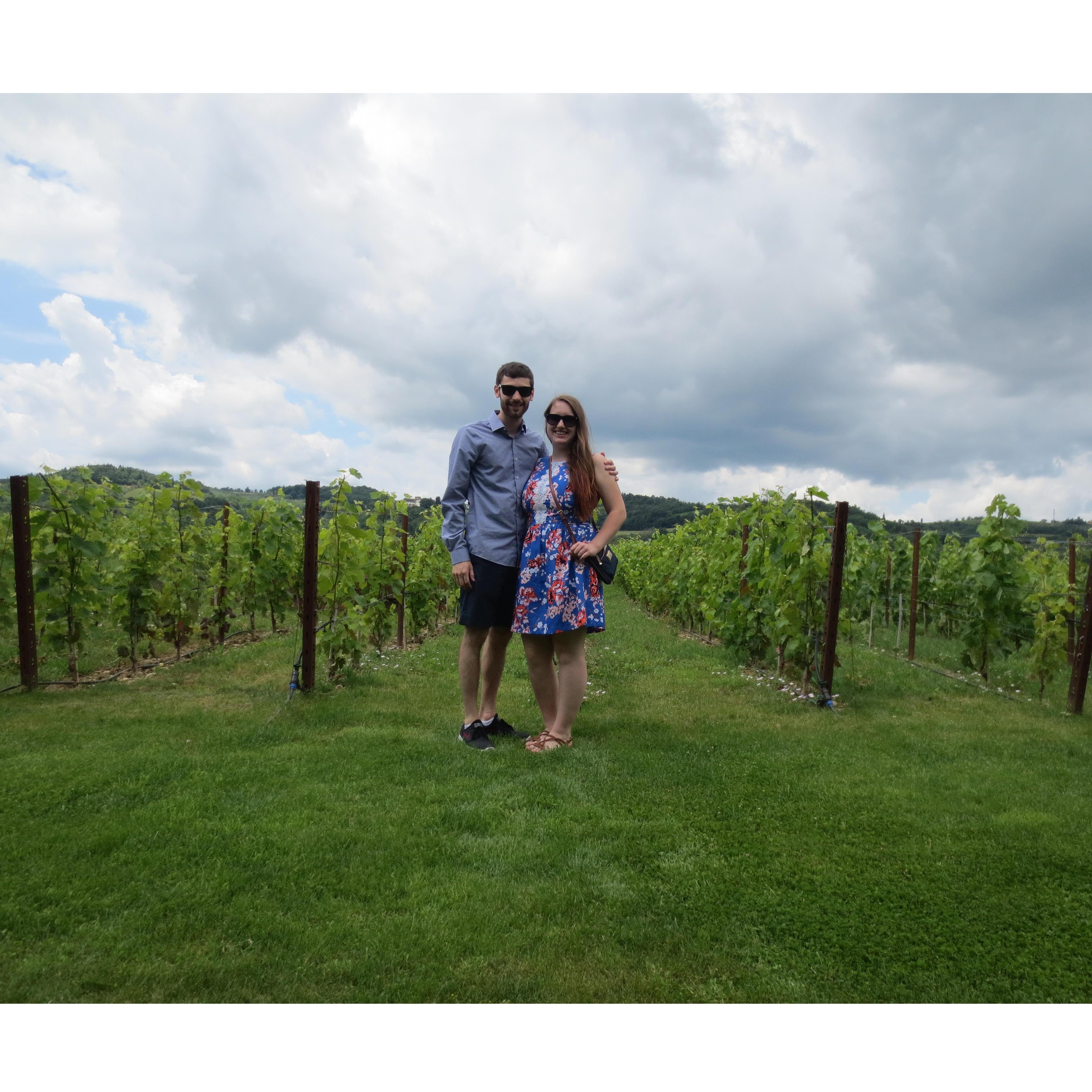 Wine tasting in Tuscany! 2016