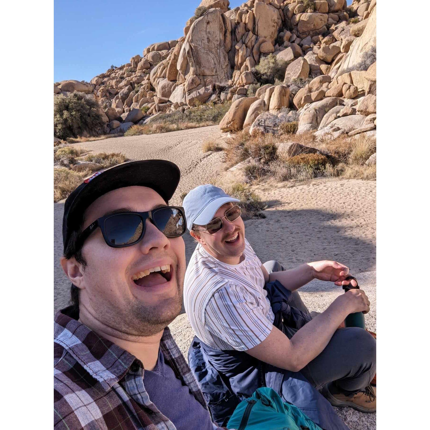 Joshua Tree!