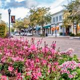 Park Avenue Shopping District