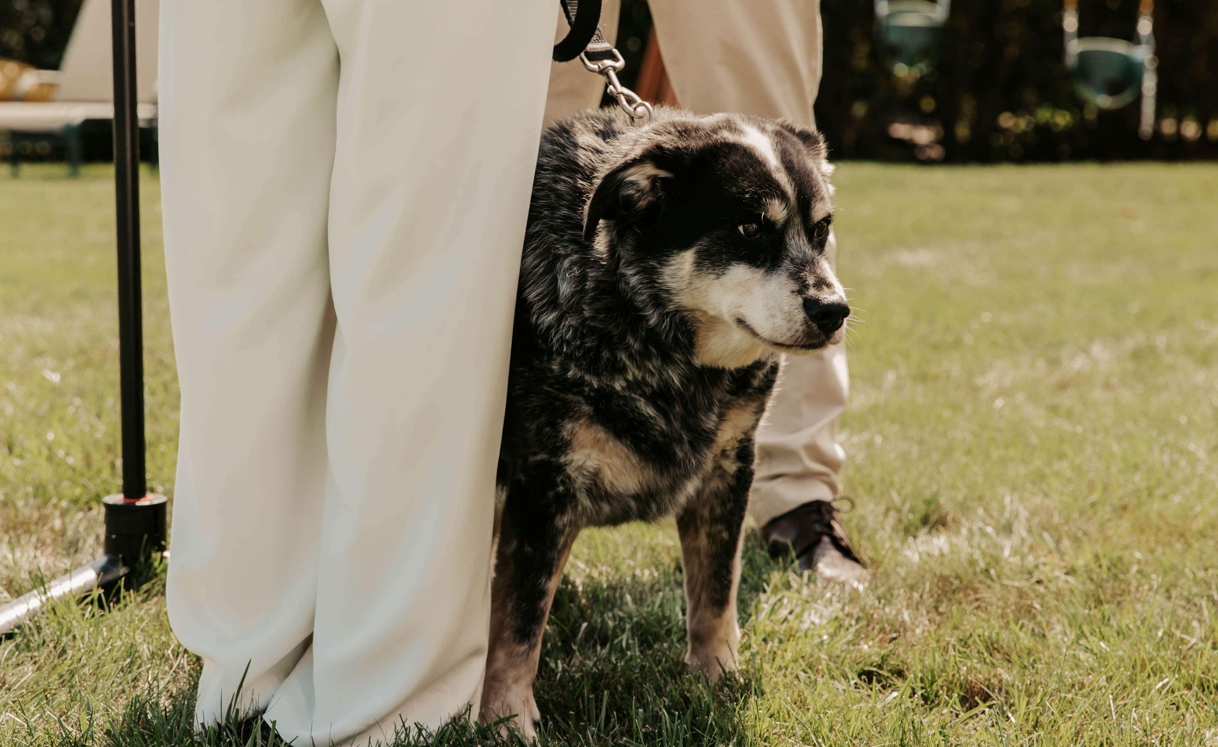 The Wedding Website of Christina DiMeglio and Mike DiMeglio