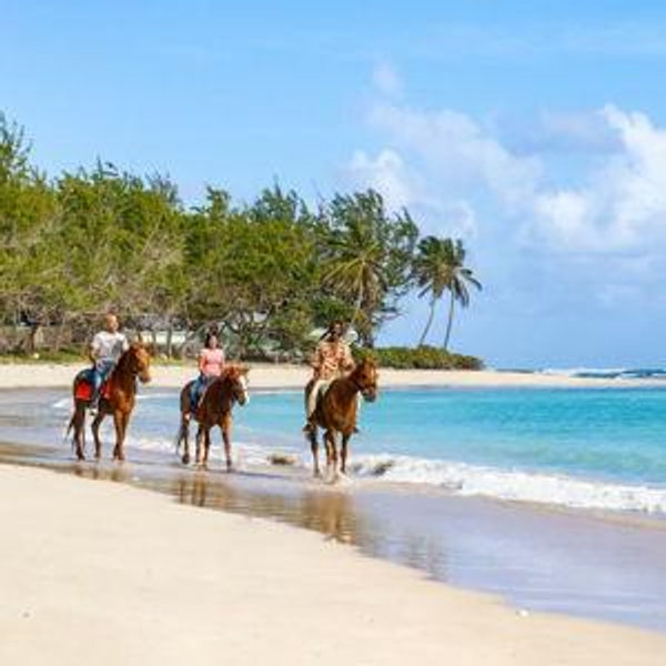 Honeymoon: Horseback Riding on the Beach Barbados