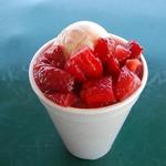 Oasis Fruit Raspados