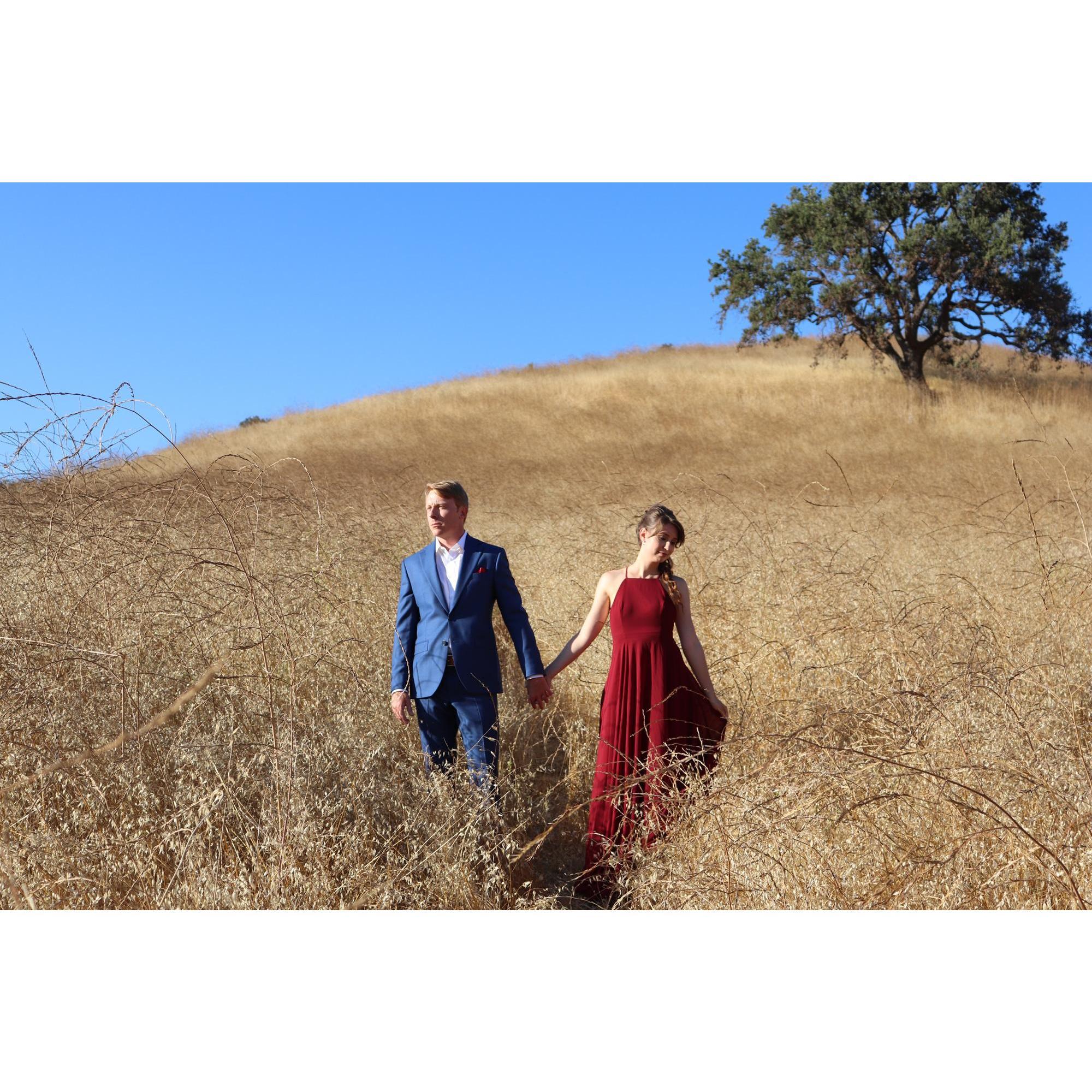Artistic photo in the canyon at Malibu Creek State Park