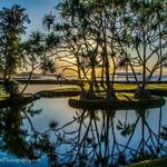 Ponds Hilo