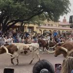 Fort Worth Stockyards