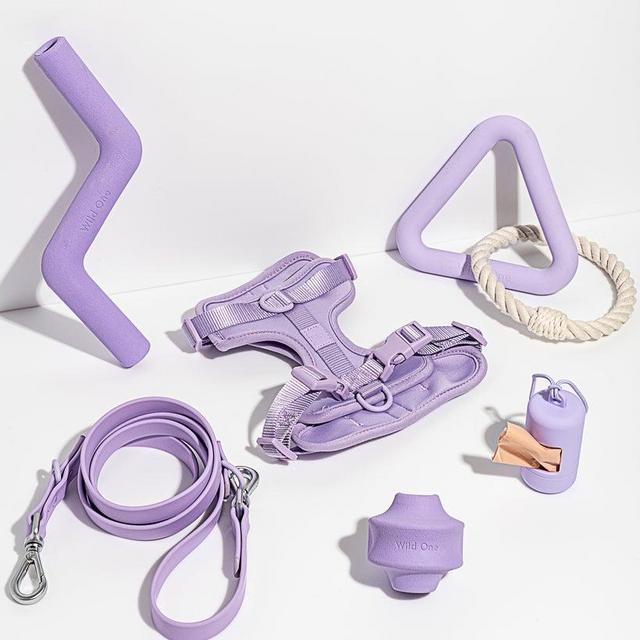 Harness Walk & Play Kit for Wrigley!
