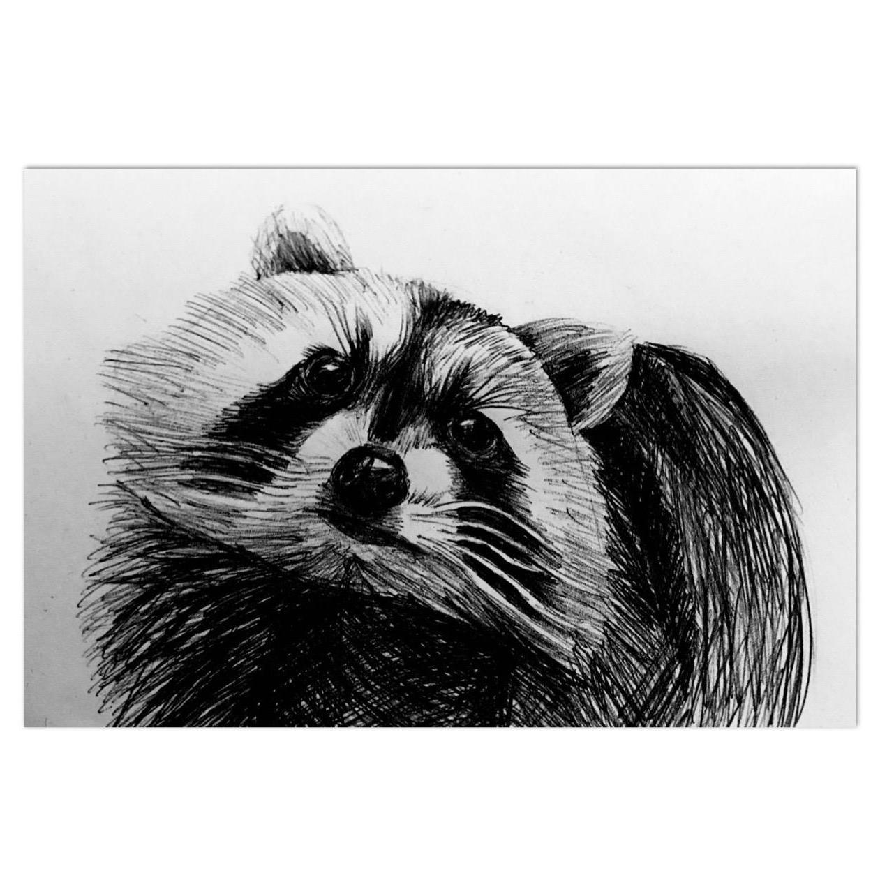 Racoon 
Ink on Paper
5x7
Framed
Suggested Price: $30