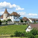 Erlach