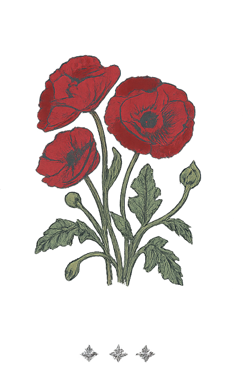 The Wedding Website of Andie Sweeney and Thomas O'Hara