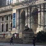 New york public library