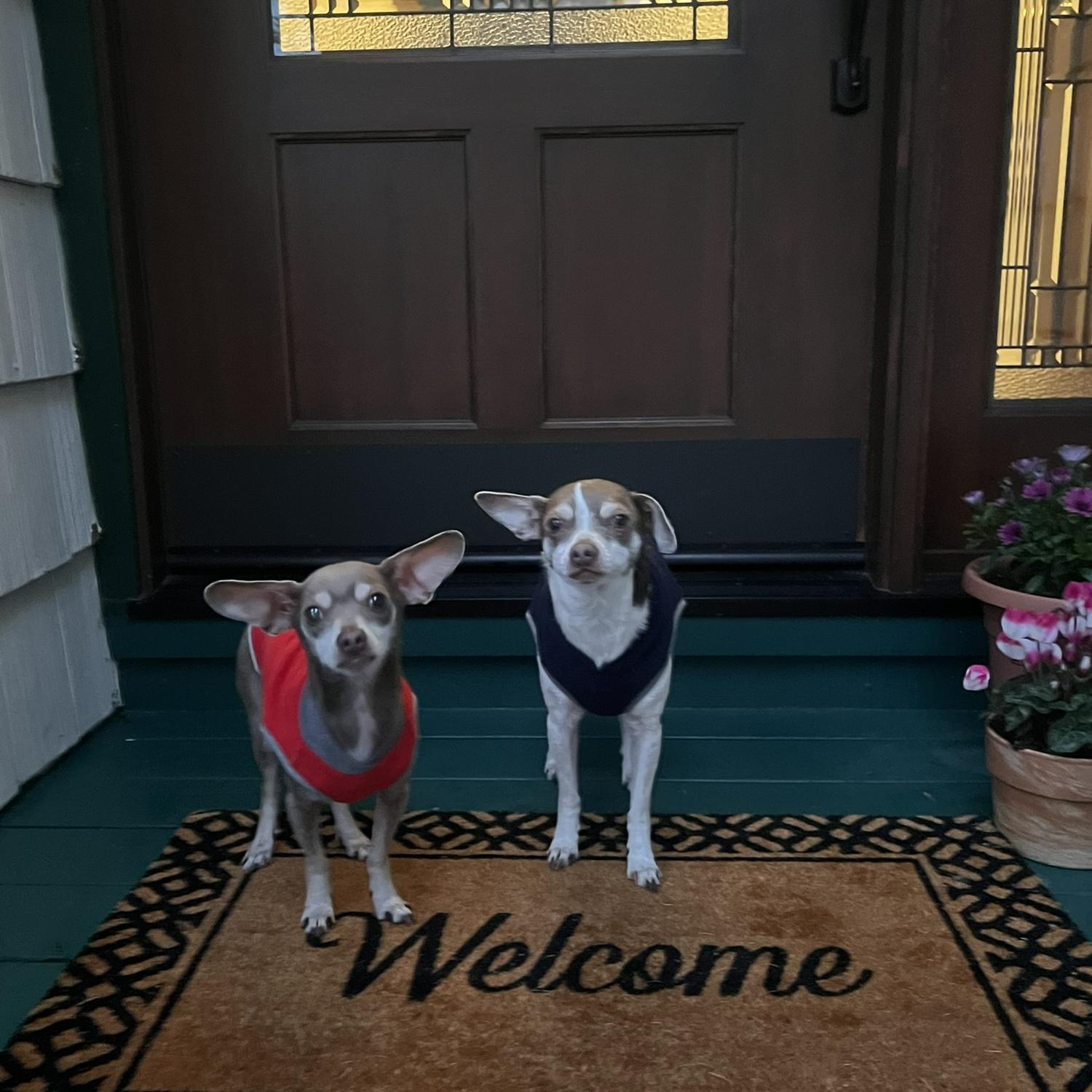 Home sweet home. Our first house together. ♥️