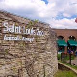 Saint Louis Zoo