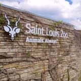 Saint Louis Zoo