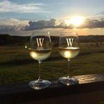 WAYVINE Winery & Vineyard