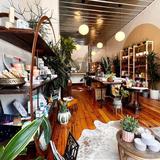 Wilder Plant Shop