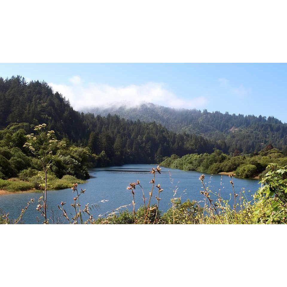 -Riverfront Regional Park, Ceremony and Reception Site-