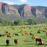 James Ranch Market and Grill