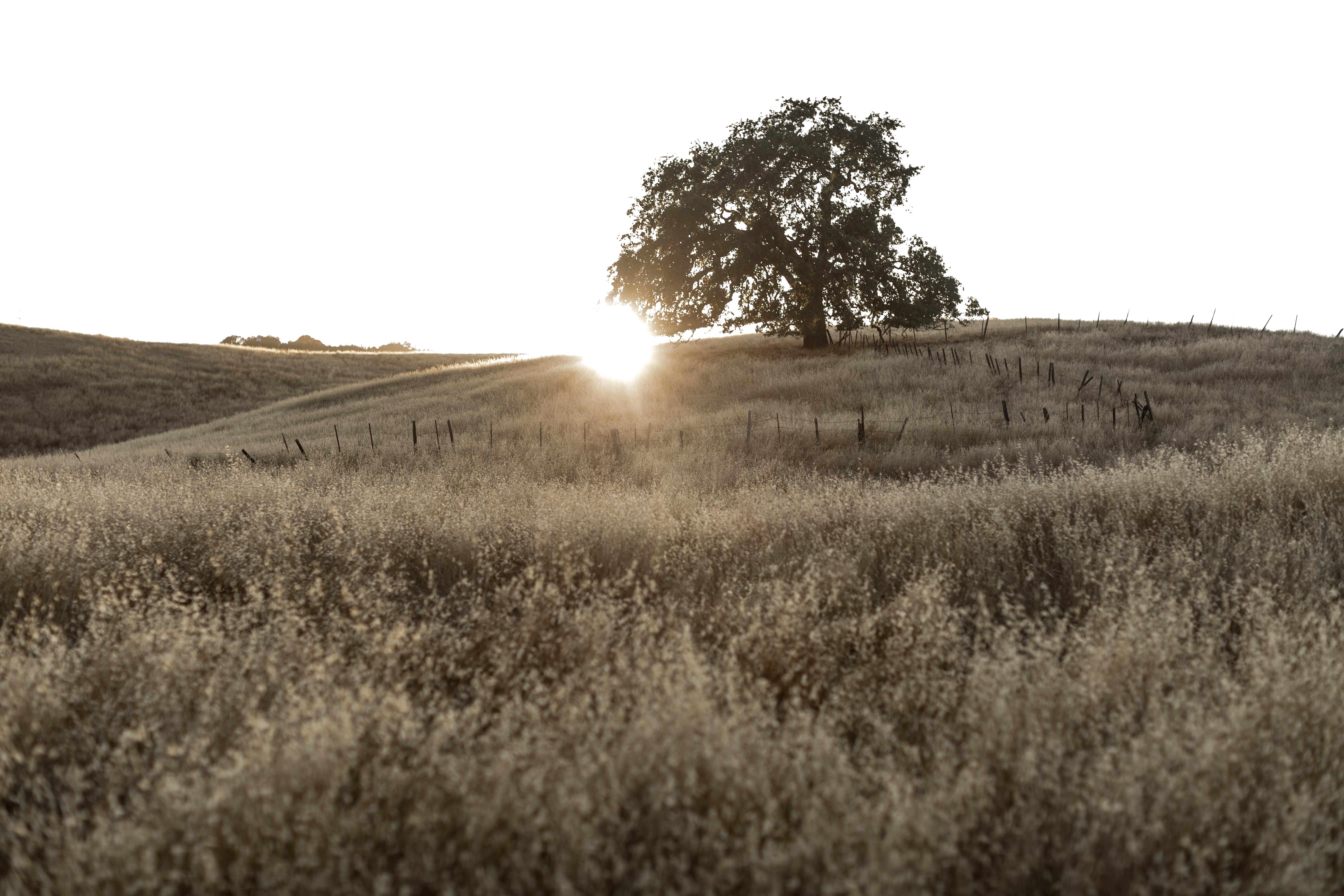 The Wedding Website of Michael Marshall and Cristina Diaz