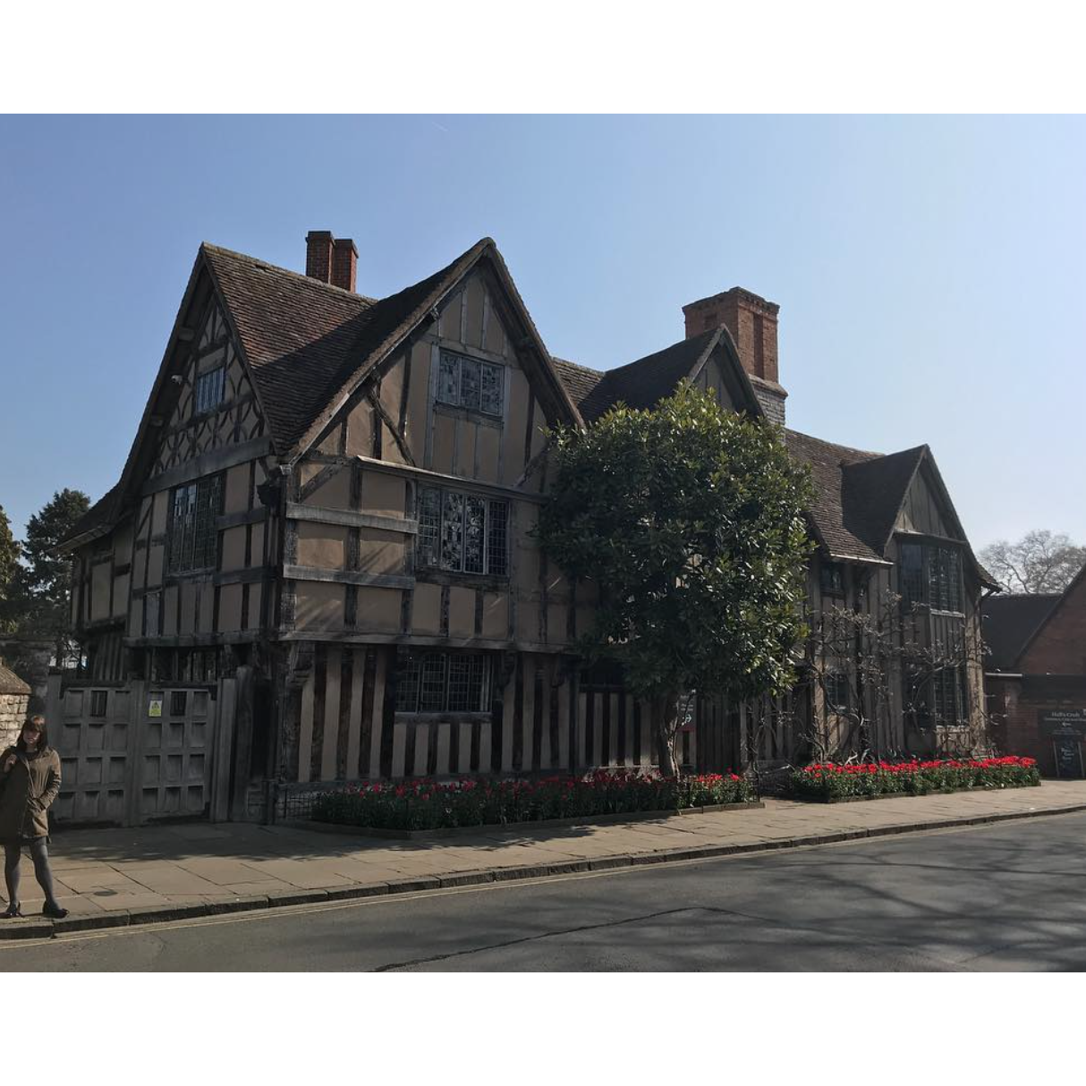 Joey in Stratford Upon Avon
