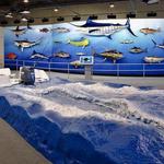 Go Fish Education Center