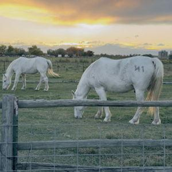 Farm Fund