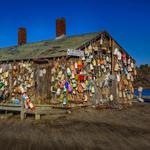 Cape Neddick Lobster Pound Harborside Restaurant