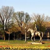 Texas Tech University
