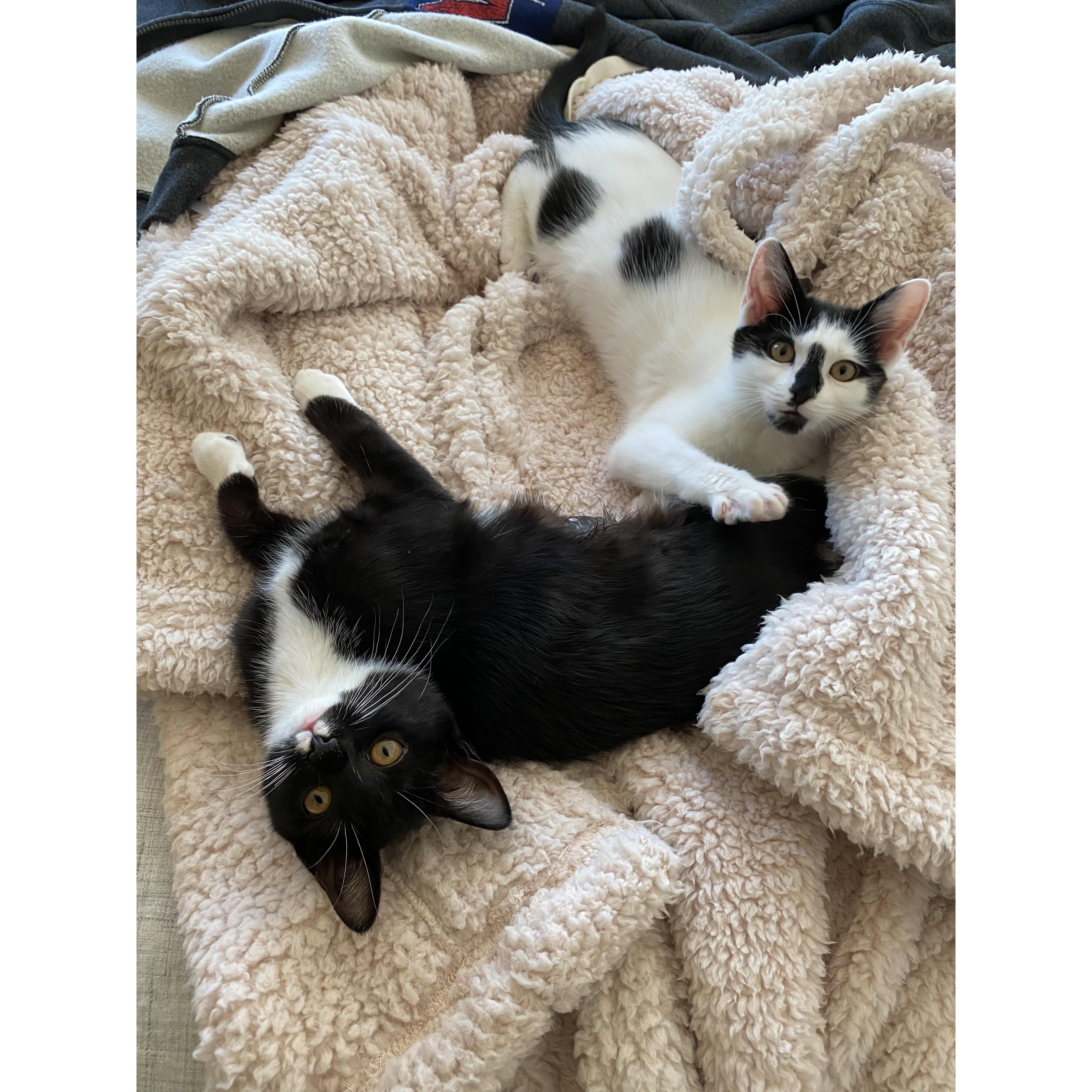 Sadie and Dottie