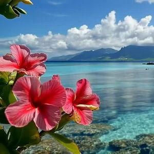 Hawaii Honeymoon 2027