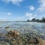 Shark’s Cove