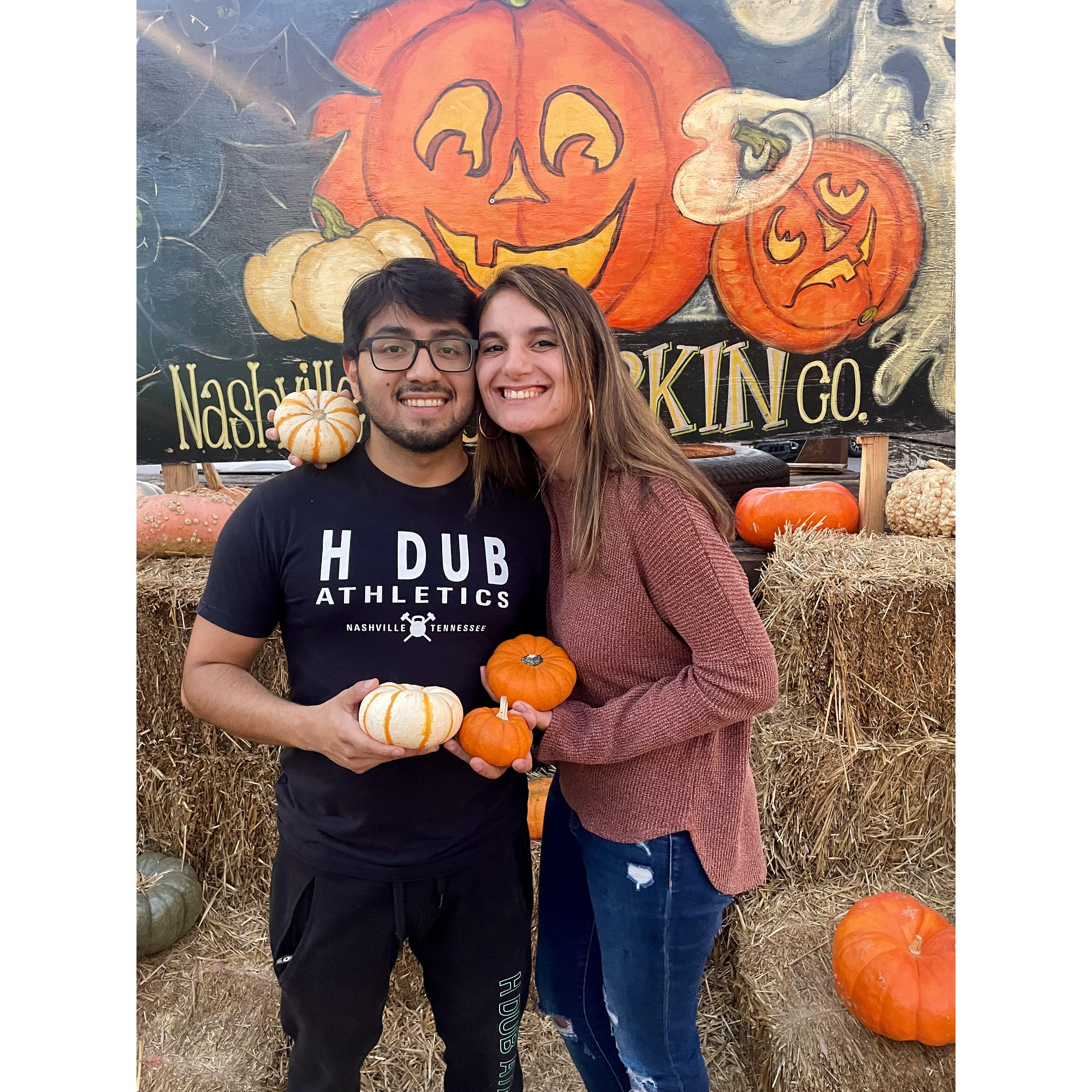 12th Avenue South pumpkin patch