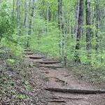 Ivy Creek Foundation