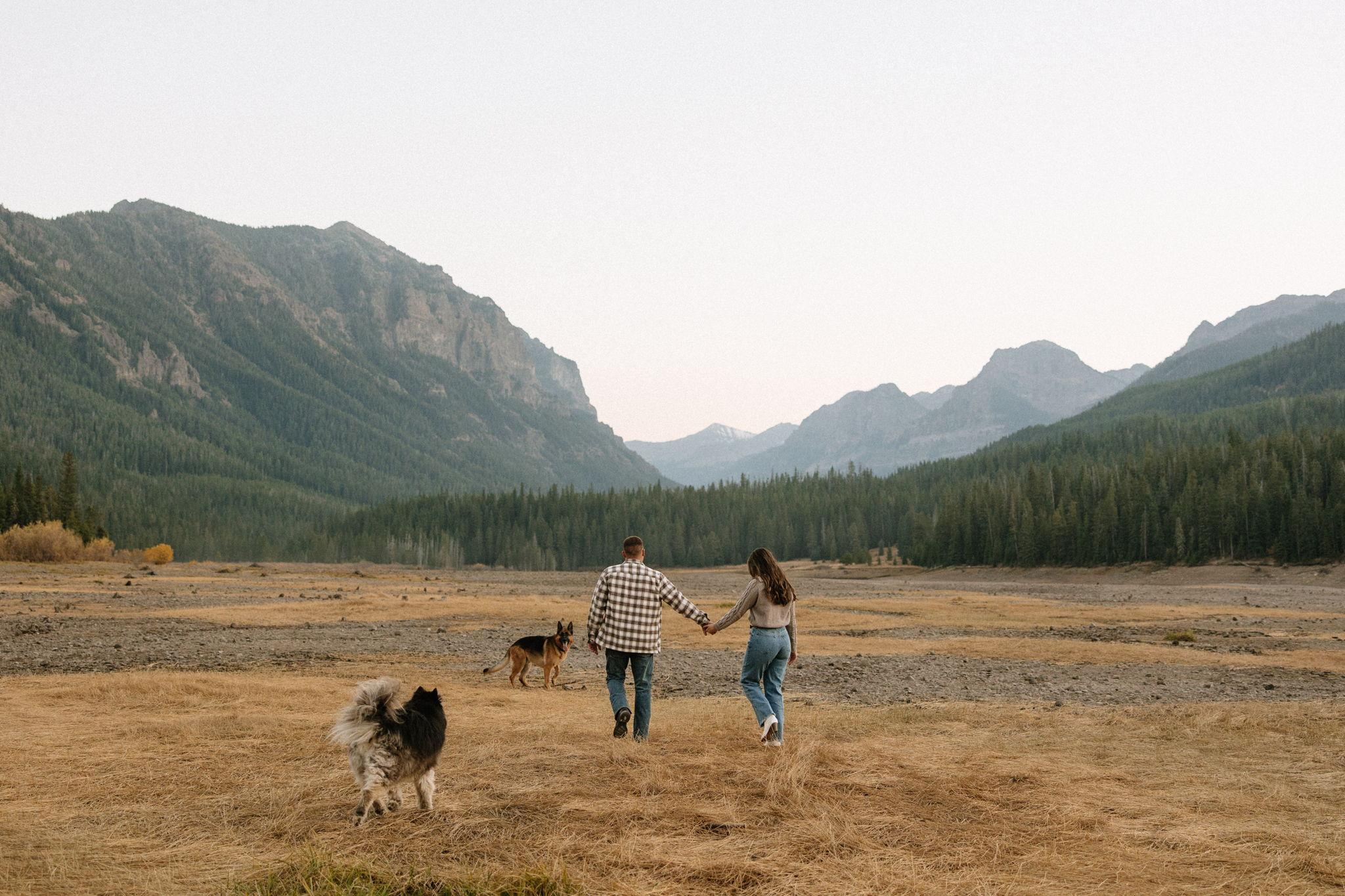 6a346913-99e8-4904-8435-9e6d515c478d