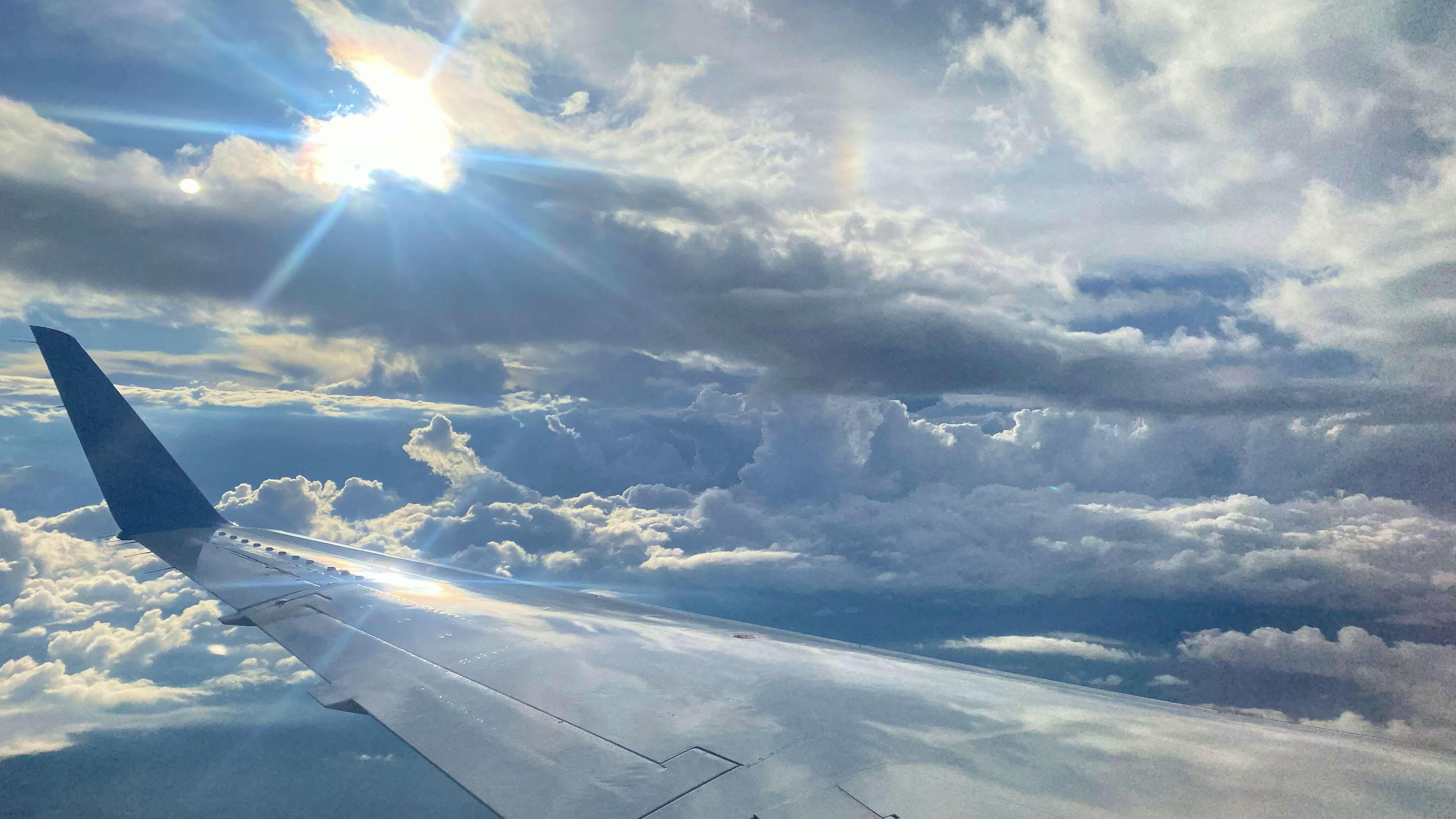 The Wedding Website of Jasmina Kuzmanovska and Paul Branson