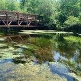 Connetquot River State Park Preserve