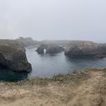 Mendocino Headlands State Park