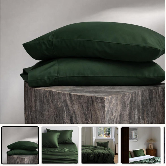 Eucalypso Silky Pillowcase Set (2) Hampton Green / King Pillowcases