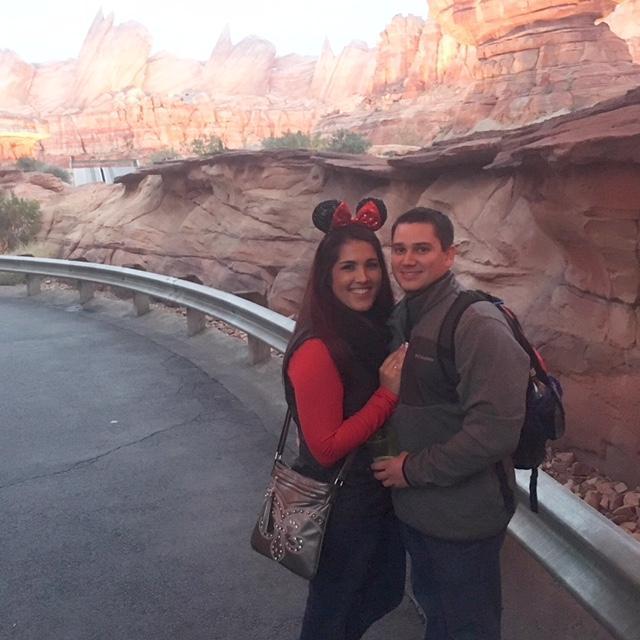 Disneyland Christmas 2016