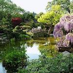 Hakone Estate and Gardens