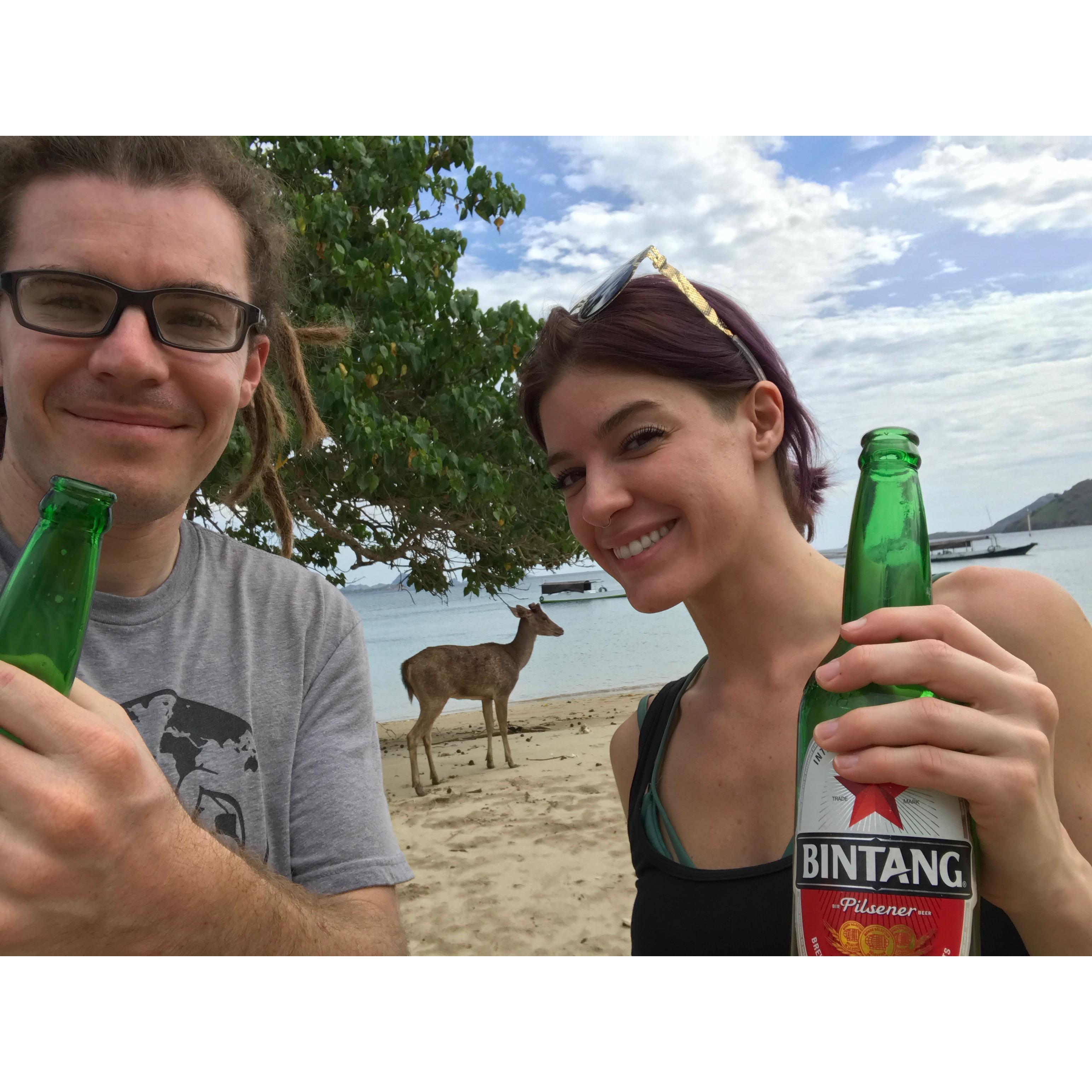 Komodo Island Deer games
