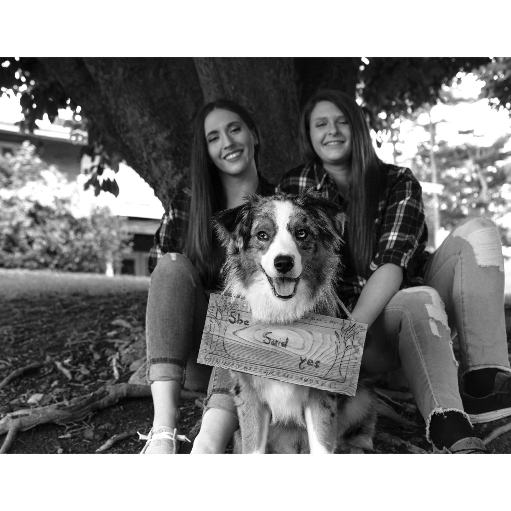 Photo credit: Brianna Kitchen