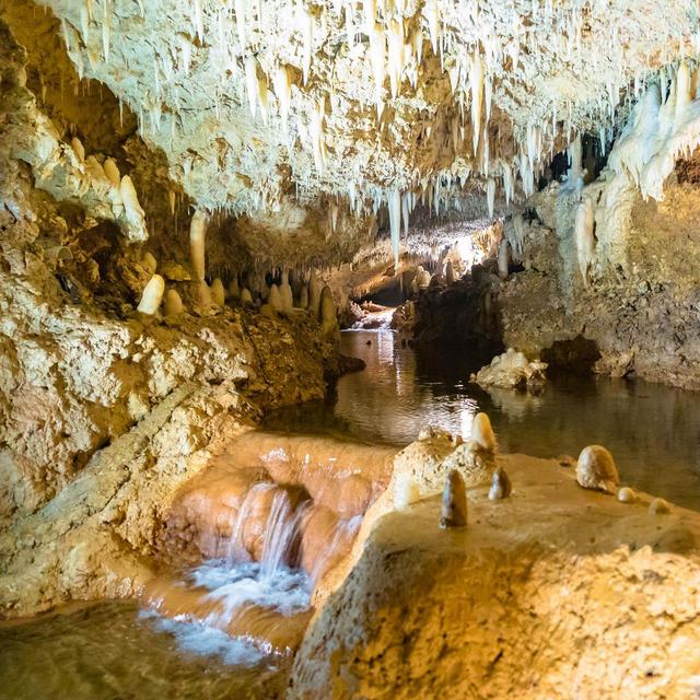 Day trip to Harrison’s Cave