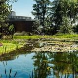 Norton Simon Museum