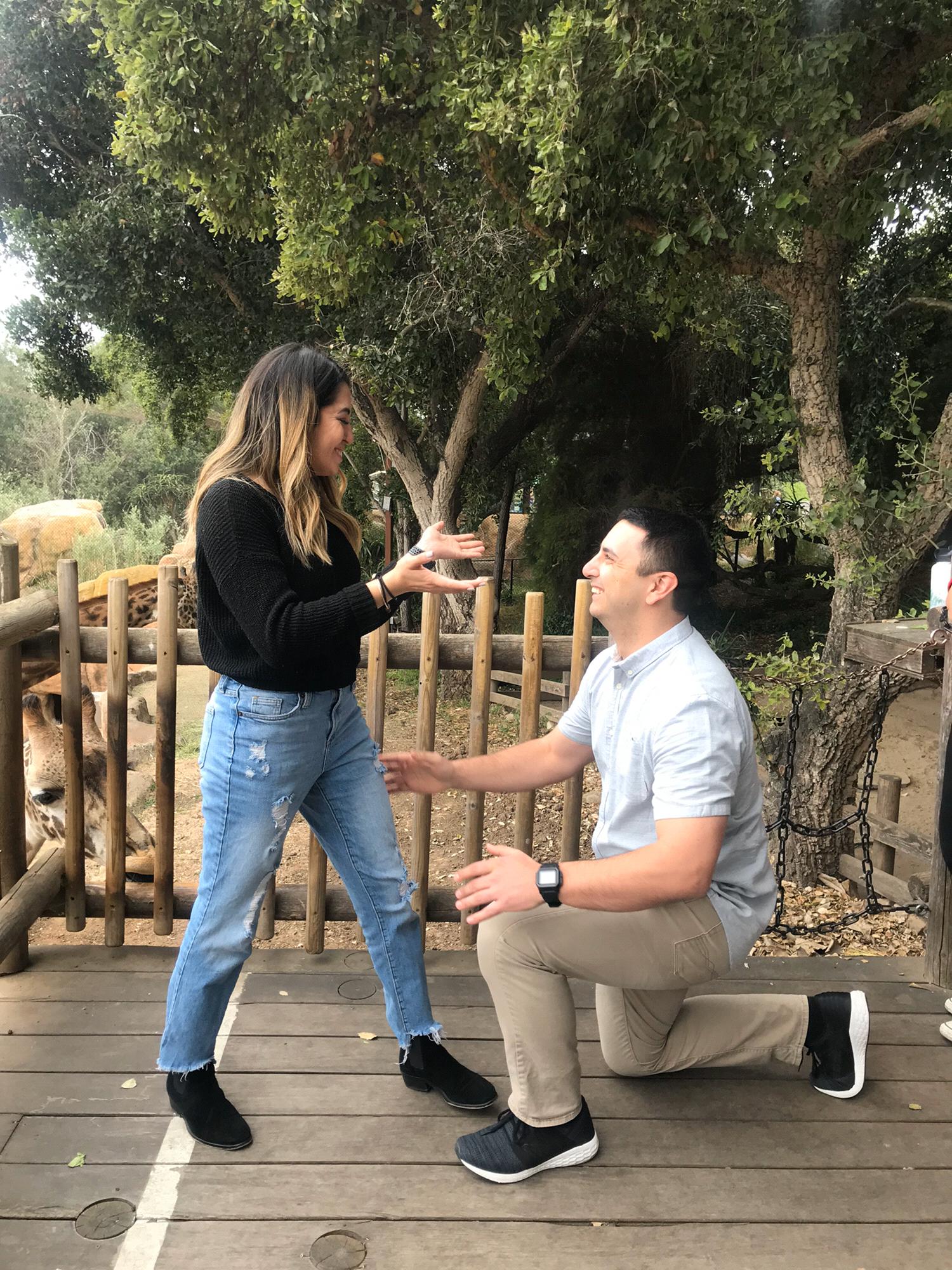 Our Proposal!